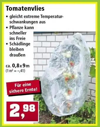 Thomas Philipps Tomatenvlies Angebot