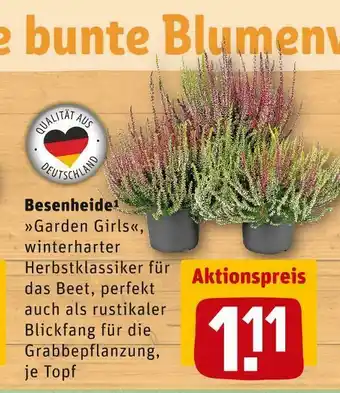 REWE Besenheide garden girls Angebot