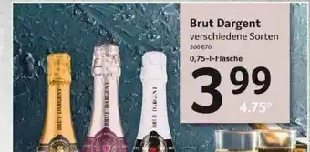 Selgros Brut Dargent Angebot