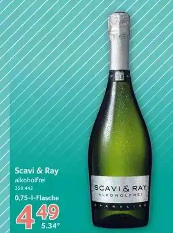 Selgros Scavi & Ray Angebot