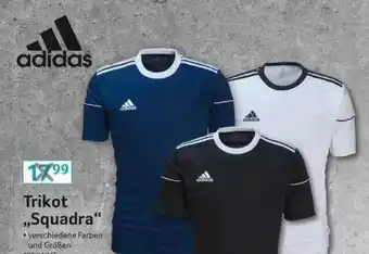 Selgros Trikot „squadra” Adidas Angebot