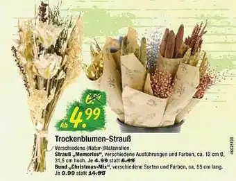 Hagebau Trockenblumen-strauß Angebot