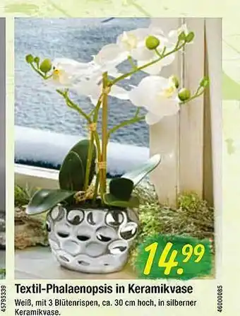 Hagebau Textil-phalaenopsis In Keramikvase Angebot