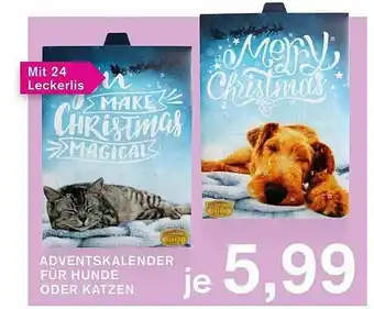 KODi Adventskalender Für Hunde Oder Katzen Angebot