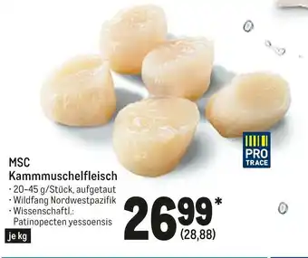 METRO MSC Kammmuschelfleisch 20-45g Angebot