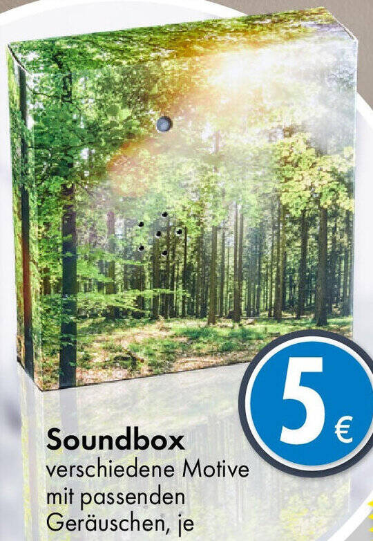 Soundbox Angebot bei TEDi