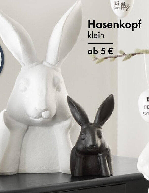 Hasenkopf klein Angebot bei TEDi