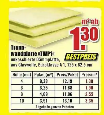 B1 Discount Baumarkt Trennwandplatte „twp 1” Angebot