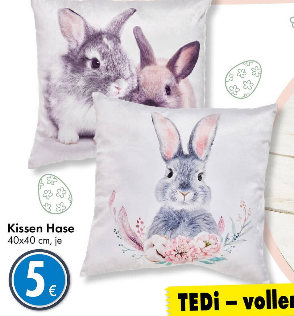 Kissen Hase 40x40 cm Angebot bei TEDi