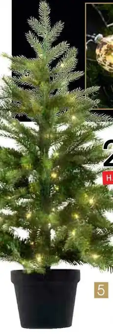 Zurbrüggen Künstlicher weihnachtsbaum im topf Angebot