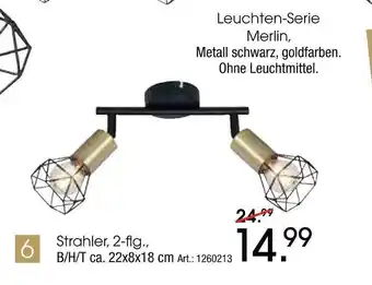 Zurbrüggen Strahler Angebot