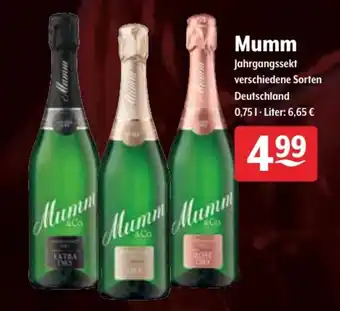 Getränke Hoffmann Mumm Jahrgangssekt 0,75L Angebot