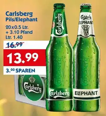 Hol'ab Getränkemarkt Carlsberg Pils/Elephant 20x0,5L Angebot