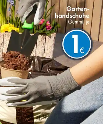 TEDi Gartenhandschuhe Angebot