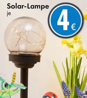 TEDi Solar-Lampe Angebot