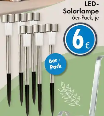 TEDi Solarlampe 6er-Pack Angebot