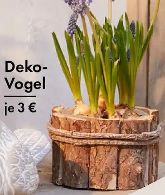 TEDi Deko Vogel Angebot