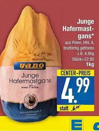 E-Center Jung Hafermastgans Angebot