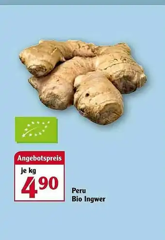 Globus Peru Bio Ingwer Angebot