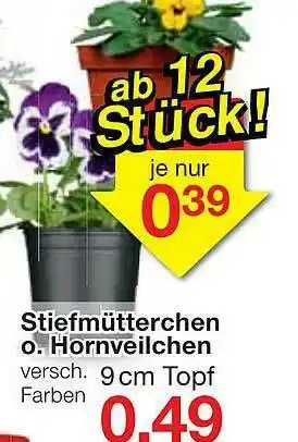 Jawoll Stiefmütterchen O. Hornveilchen Angebot