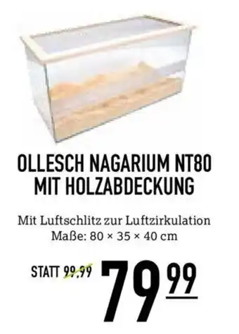 Kölle Zoo OLLESCH NAGARIUM NT80 MIT HOLZABDECKUNG Angebot