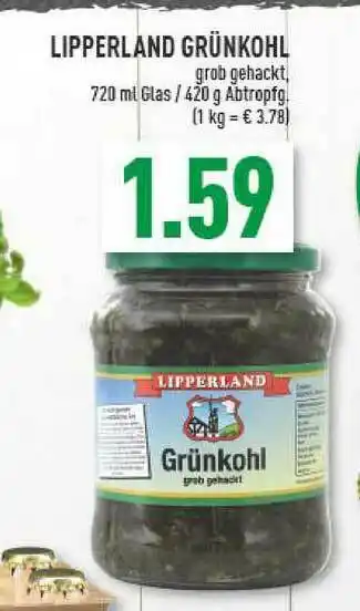 Marktkauf Lipperland Grünkohl Angebot