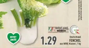 Marktkauf Meinland Edeka Fenchel Angebot