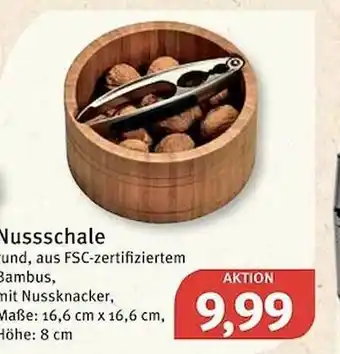 Feneberg Nussschale Angebot