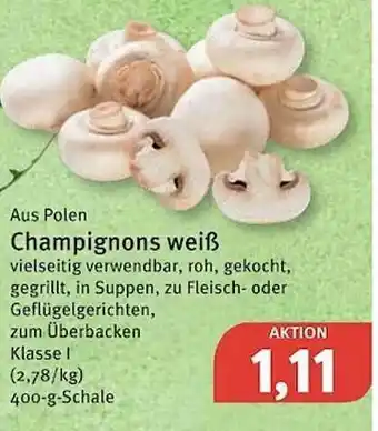 Feneberg Champignons Weiß Angebot