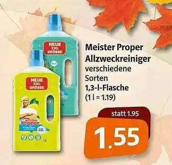 Markant Meister Proper Allzweckreiniger Angebot