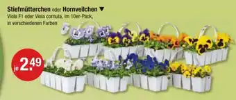 V Markt Stiefmütterchen oder Hornveilchen Viola F1 oder Viola cornuta, im 10er-Pack, in verschiedenen Farben Angebot