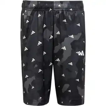 Intersport ADIDAS Kinder Shorts Train Essentials Seasonal AEROREADY Allover Print Regular-Fit GRESIX 152 Angebot