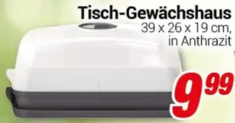 CENTERSHOP Tisch-Gewächshaus Angebot