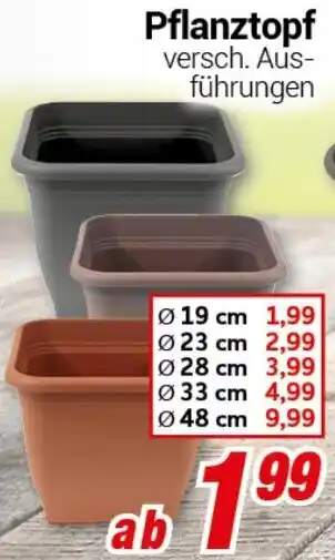 CENTERSHOP Pflanztopf Angebot