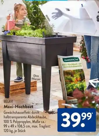 Aldi Süd BELAVI Maxi-Hochbeet 120 kg Angebot