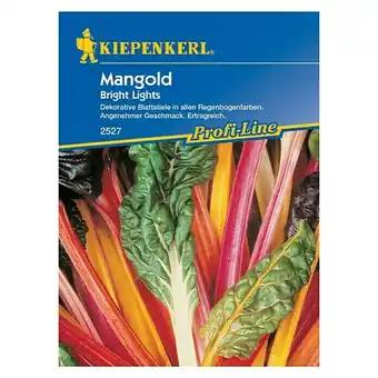 Bauhaus Kiepenkerl Profi-Line Gemüsesamen Mangold Bright Lights (Beta vulgaris var. vulgaris, Erntezeit: Juni) Angebot