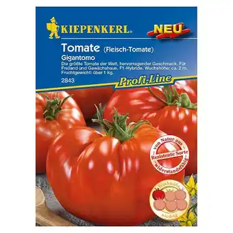 Bauhaus Kiepenkerl Profi-Line Gemüsesamen Tomate (Gigantomo, Solanum lycopersicum, Erntezeit: Juli) Angebot