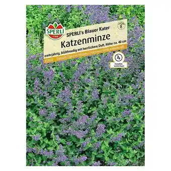 Bauhaus Sperli Blumensamen Katzenminze (Nepeta x faassenii, Lila) Angebot