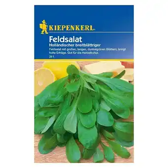 Bauhaus Kiepenkerl Salatsamen Feldsalat (Valerianella locusta, Holländischer breitblättriger, Erntezeit: Oktober) Angebot