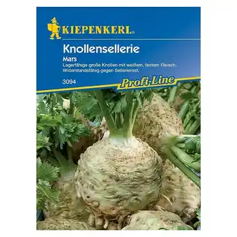 Bauhaus Kiepenkerl Profi-Line Gemüsesamen Knollensellerie Mars (Apium graveolens var. rapaceum, Erntezeit: September) Angebot