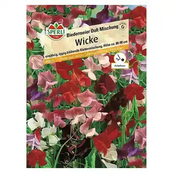 Bauhaus Sperli Blumensamen Wicke (Lathyrus latifolius, Mehrfarbig) Angebot