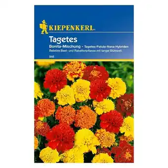 Bauhaus Kiepenkerl Blumensamen Studentenblume (Tagetes patula, Bonita, Blütezeit: Juni) Angebot