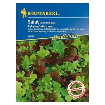 Bauhaus Kiepenkerl Profi-Line Salatsamen Blattsalat Babyleaf-Mischung (Lactuca sativa, Erntezeit: April) Angebot