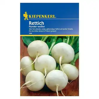 Bauhaus Kiepenkerl Gemüsesamen Rettich (Raphanus sativus, Runder weißer) Angebot