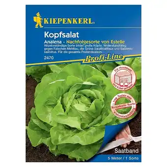 Bauhaus Kiepenkerl Profi-Line Salatsamen Kopfsalat Saatband (Lactuca sativa var. capitata, Erntezeit: Mai) Angebot