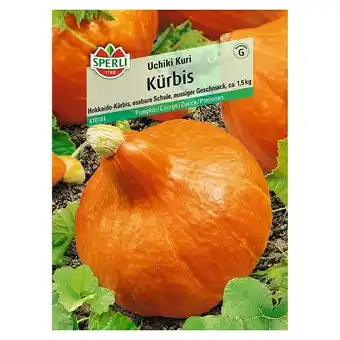 Bauhaus Sperli Gemüsesamen Kürbis (Uchiki Kuri, Cucurbita maxima, Erntezeit: September) Angebot