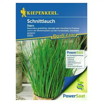 Bauhaus Kiepenkerl Profi-Line Kräutersamen Schnittlauch PowerSaat (Allium schoenoprasum, Saatzeit: April, Erntezeit: Ganzjährig) Angebot