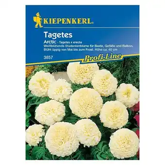 Bauhaus Kiepenkerl Profi-Line Blumensamen Studentenblume (Tagetes erecta, Arctic, Blütezeit: Mai) Angebot