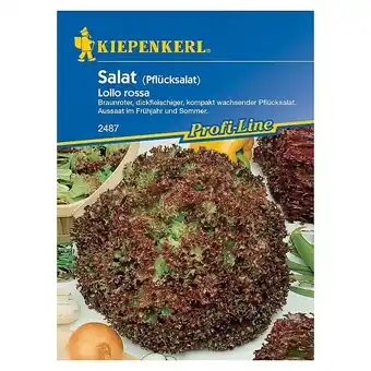 Bauhaus Kiepenkerl Profi-Line Salatsamen Pflücksalat rossa (Lactuca sativa var. crispa, Erntezeit: Mai) Angebot