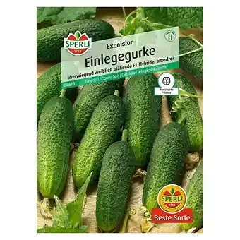 Bauhaus Sperli Gemüsesamen Einlegegurke (Excelsior, Cucumis sativus, Erntezeit: Juli) Angebot